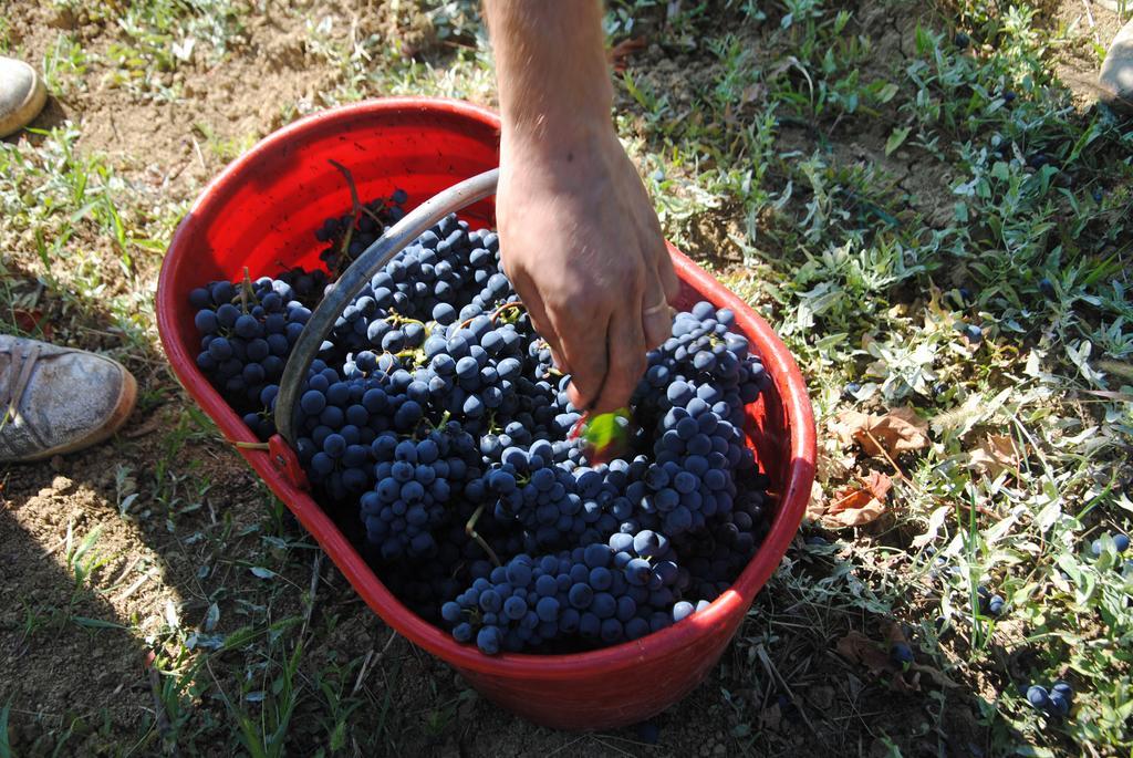 Willa La Rondanina Castelnuovo Fogliani Zewnętrze zdjęcie